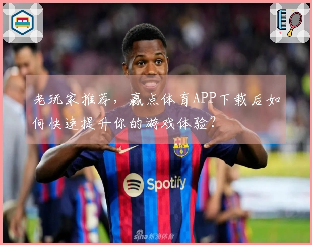 老玩家推荐，赢点体育APP下载后如何快速提升你的游戏体验？